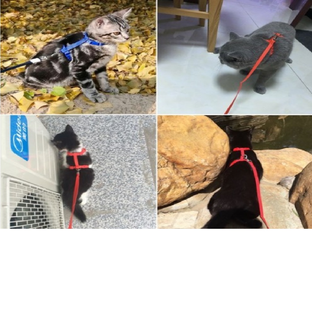 120 cm kedi tasması - görsel 2